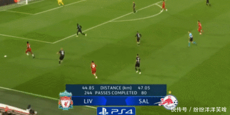 巴西博彩平台2025年女性用户占比升至42%